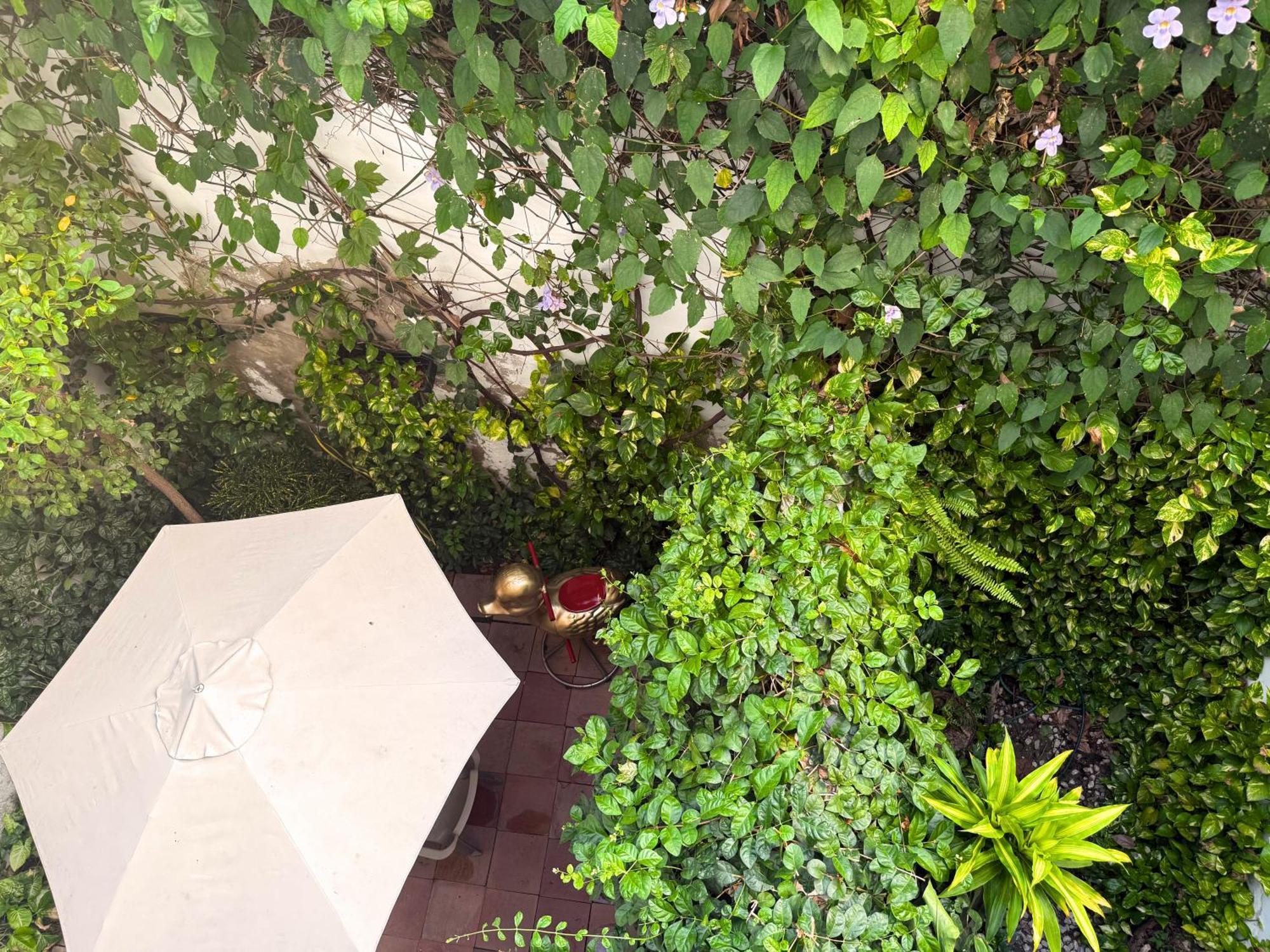 Casa Bugambilia - Alma Hotels Santa Marta  Eksteriør bilde